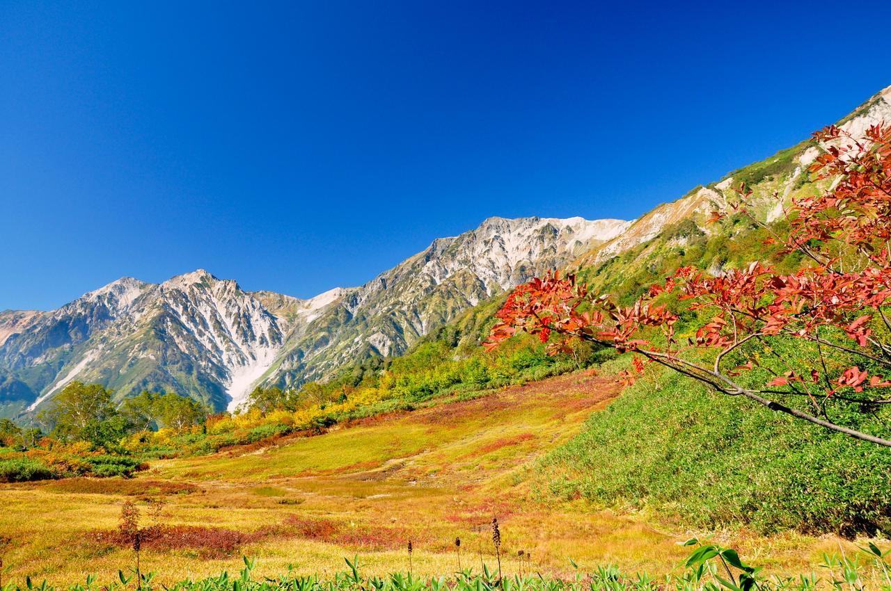 Hotel Hakuba Berghaus Otari Екстериор снимка